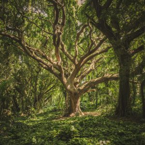 Retrouve l'espoir
